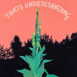 Village Of Spaces That's Understanding VINYL LP + MP3 DOWNLOAD CODE