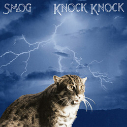 Smog Knock Knock: 20Th Anniversary HALF SPEED REMASTERED LP + INSERTS