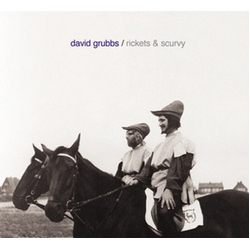 David Grubbs Rickets & Scurvy VINYL LP