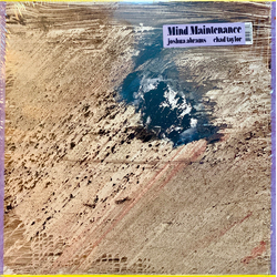 Mind Maintenance Mind Maintenance VINYL LP IN SPOT VARNISHED SLEEVE
