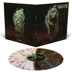 Warning Rituals Of Shame BLACK & WHITE SPLIT WITH RED SPLATTERED VINYL LP + INSERT LIMITED TO 300 COPIES