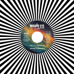 Ancient Cosmonauts Free As I Wanna Be VINYL 7INCH