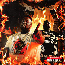 Fu Chip & O'Neal Shaquille Warning LIMITED VINYL 7INCH
