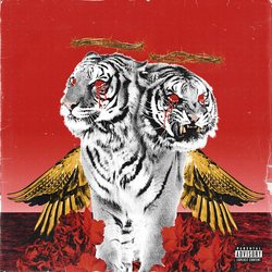Polyphia New Levels New Devils LIMITED RED & WHITE PETAL RED & WHITE PINWHEEL VINYL LP