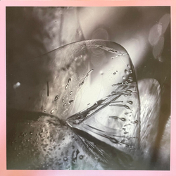 Loscil Clara VINYL 2LP