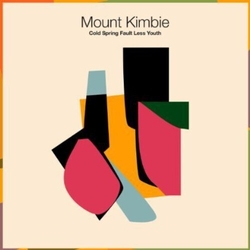 Mount Kimbie Cold Spring Fault Less Youth VINYL 2LP