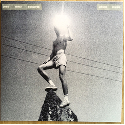 Mount Kimbie Love What Survives VINYL 2LP