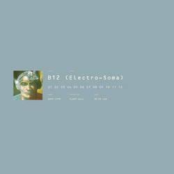B12 Electro Soma REISSUE VINYL 2LP + INSERT + MP3 DOWNLOAD CODE