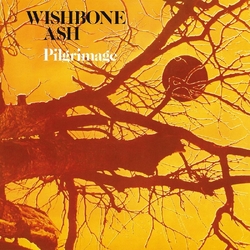 Wishbone Ash Pilgrimage REISSUE 180GM VINYL LP