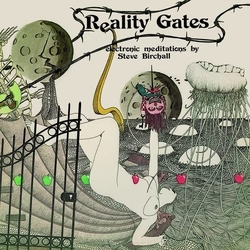 Steve Birchall Reality Gates LIMITED LP