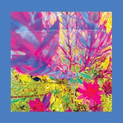 The Reds Pinks & Purples The Past Is A Garden I Never Fed LIMITED SKY BLUE VINYL LP