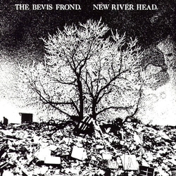 The Bevis Frond New River Head VINYL 2LP