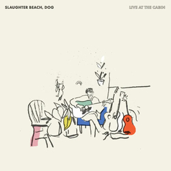 Slaughter Beach Dog Live At The Cabin RECORD STORE DAY BLACK FRIDAY RSD 2024 SAGE GREEN VINYL 2LP + INSERT