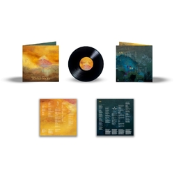 Silversun Pickups Tenterhooks VINYL LP