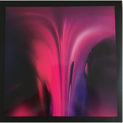 Ame Dream House VINYL 2LP IN SPOT-VARNISH SLEEVE