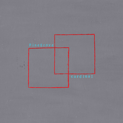 Pinegrove Cardinal VINYL LP