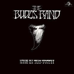 The Budos Band Long In The Tooth VINYL LP + MP3 DOWNLOAD CODE IN DIE-CUT SLEEVE WITH OBI-STRIP