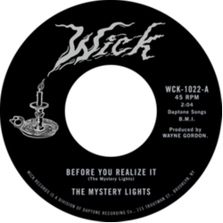 The Mystery Lights Before You Realize It 7INCH