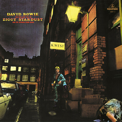 David Bowie The Rise & Fall Of Ziggy Stardust & The Spiders From Mars REMASTERED HEAVYWEIGHT VINYL LP