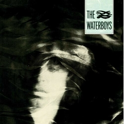 The Waterboys The Waterboys REMASTERED 180GM VINYL LP