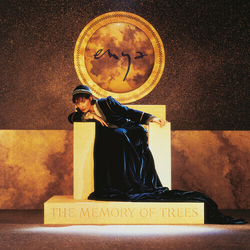 Enya The Memory Of Trees REISSUE VINYL LP + INSERT