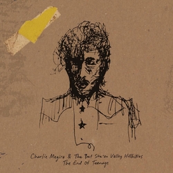 Charlie Megira End Of Teenage REISSUE BANANA YELLOW VINYL 2LP