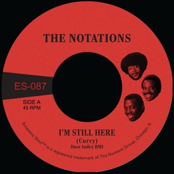 The Notations I'M Still Here WHITE VINYL 7INCH