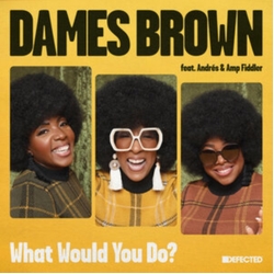 Dames Brown Feat Andres/Amp Fiddler What Would You Do? LIMITED 7INCH