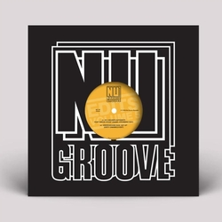Ny House'N Authority/Underground Kids/House Of Peace/The Barnyard Orchestra Nu Groove Edits Vol 5 VINYL 12INCH