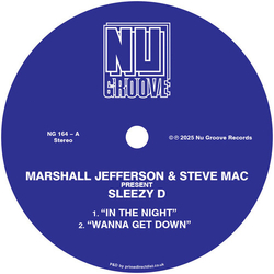 Sleezy D/Juliet Mendoza In The Night VINYL 12INCH