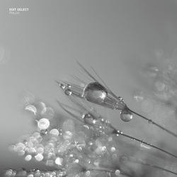 Edit Select Phlox VINYL 2LP