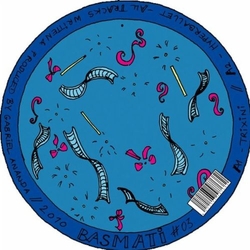 Gabriel Ananda Charming & Alarming VINYL 12INCH