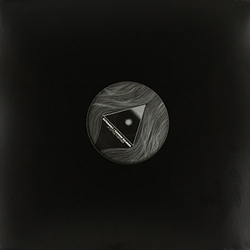 Extrawelt/Dominik Eulberg A Little Further VINYL 12INCH