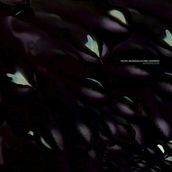 Felipe/Dani Casarano Valenzuela Introspection VINYL 12INCH