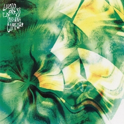 Lucid Express Instant Comfort ULTRA CLEAR VINYL LP