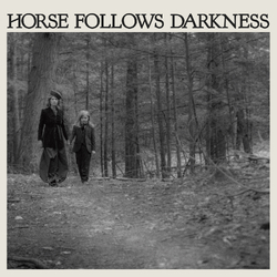 Delia Gonzalez Horse Follows Darkness VINYL LP