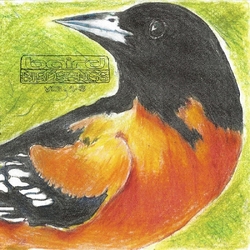 Baird Birdsongs: Volume 1-3 LIMITED TRANSLUCENT LIGHT BLUE CLEAR VINYL 2LP + INSERT