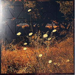 Szun Waves Earth Patterns LIMITED TRANSLUCENT RED MARBLED VINYL LP IN SPOT-VARNISHED SLEEVE