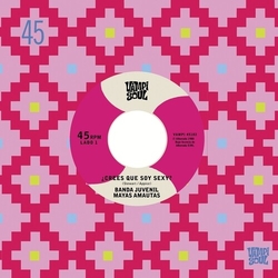 Banda Juvenil Mayas Amautas/Los Bravos Del Ande Crees Que Soy Sexy VINYL 7INCH