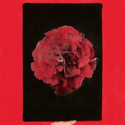 Activity A Thousand Years In Another Way LIMITED LP