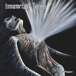 Innumerable Forms Pain Effulgence VINYL LP + POSTER + INSERT + MP3 DOWNLOAD CODE