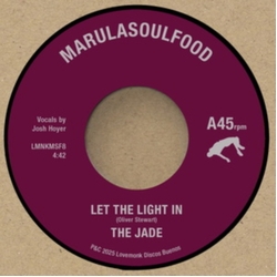 Jade. The Let The Light In VINYL 7INCH