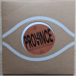 Bartees Strange/Ohmme/Eric Slick/Anjimile Province LIMITED 7INCH