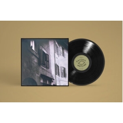 Andy Jenkins Since Always VINYL LP