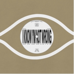 Sam Wilkes 104 3 LIMITED 7INCH