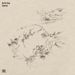 Eyvind Kang Riparian 180GM VINYL LP + MP3 DOWNLOAD CODE WITH OBI-STRIP