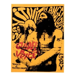 Guided By Voices Tonics & Twisted Chasers REISSUE LIMITED TRANSLUCENT ORANGE VINYL LP + INSERT