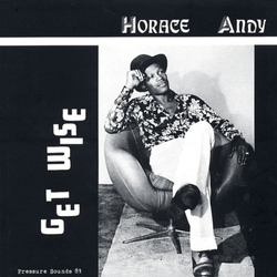 Horace Andy Get Wise VINYL LP + INSERT