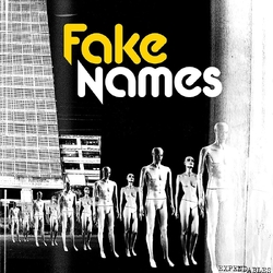 Fake Names Expendables VINYL LP