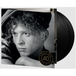 Simply Red Recollections 180GM AUDIOPHILE VINYL 2LP